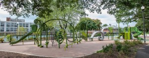 Named one of the nation's top 50 playgrounds, the Harry Thomas playground was designed under the Play DC program, in which Capital City Fellow Stacie West played an instrumental role.